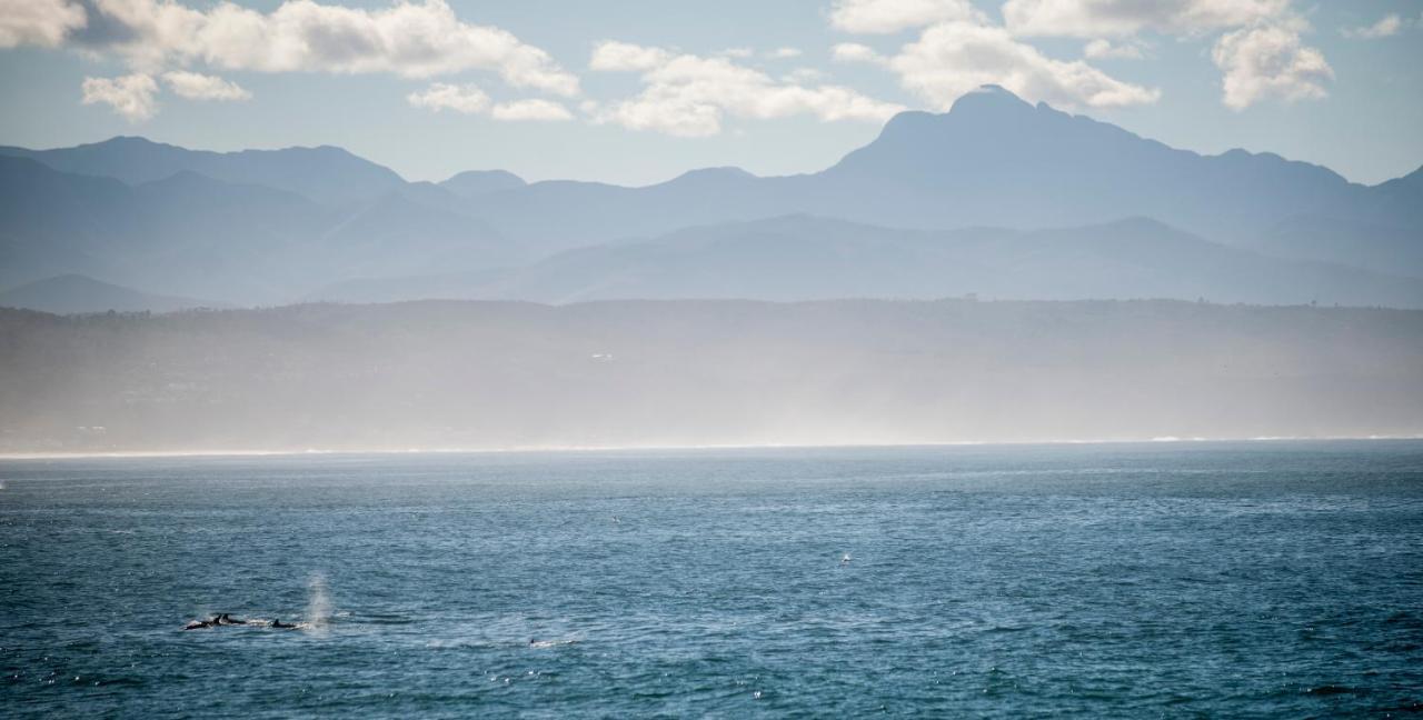 Panoramic Blue B&B Plettenberg Bay Bagian luar foto